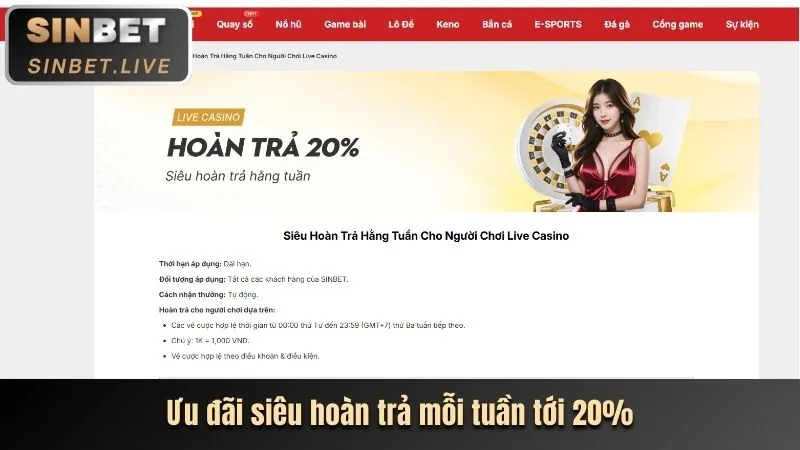 Hoàn trả cược thua jun888 bet